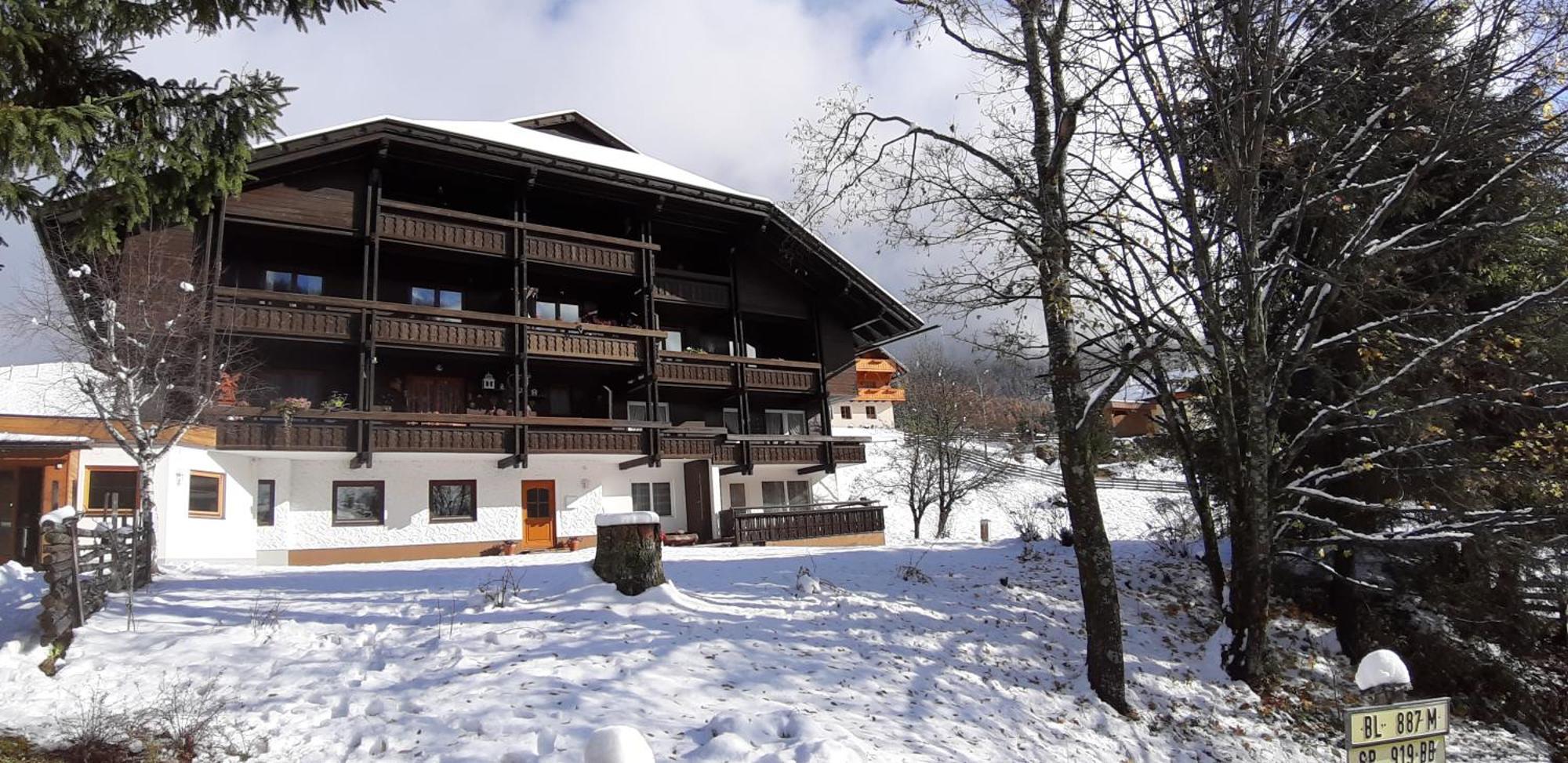 Fewo Brunnach By Isa Badkleinkirchheim Bad Kleinkirchheim Luaran gambar